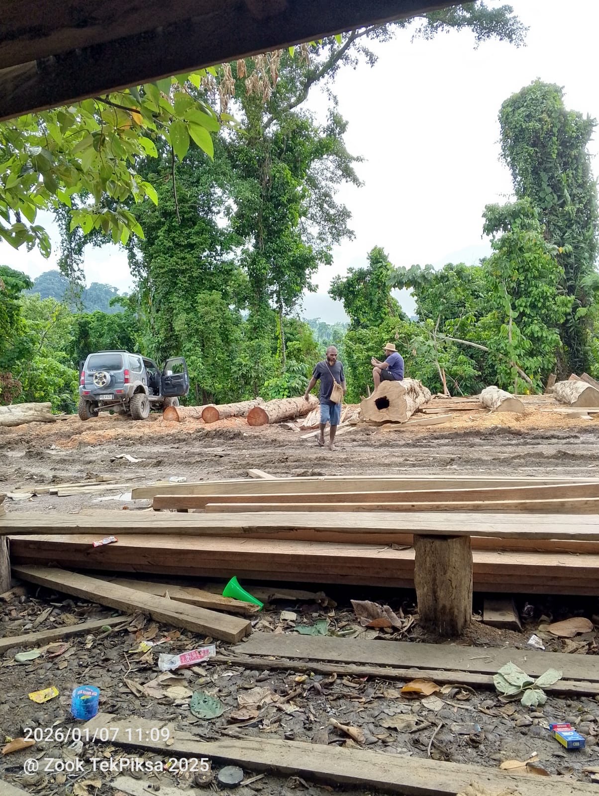 Logging Site Image