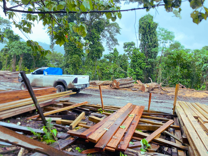 Logging Site Image